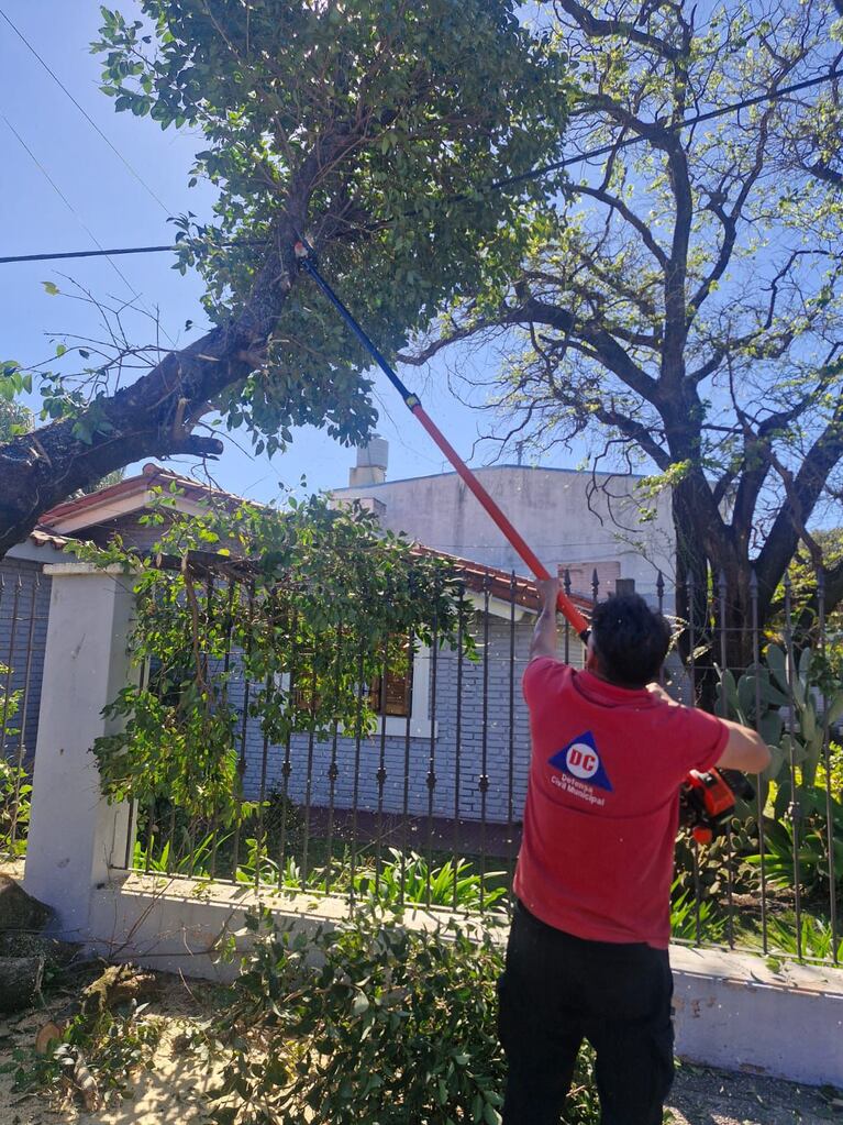 Reportaron más de 1400 casos de postes y árboles caídos en Córdoba.