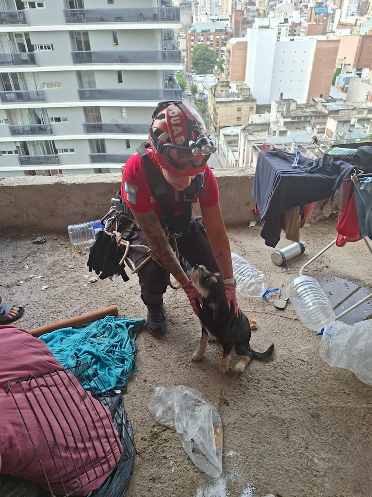 Rescataron al perro que estaba al borde del abismo en el edificio del Bv. San Juan.