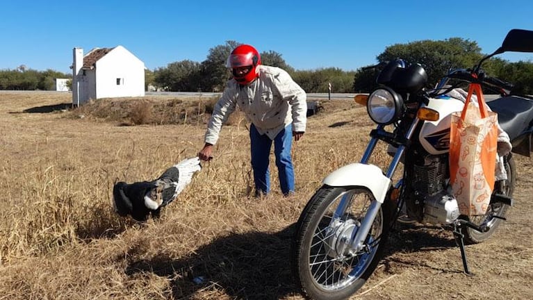 Rescataron un cóndor herido y lo subieron a la moto: "Me picoteaba la espalda"