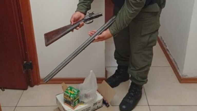 Rescataron un flamenco que vivía en cautiverio en el patio de una casa en Córdoba