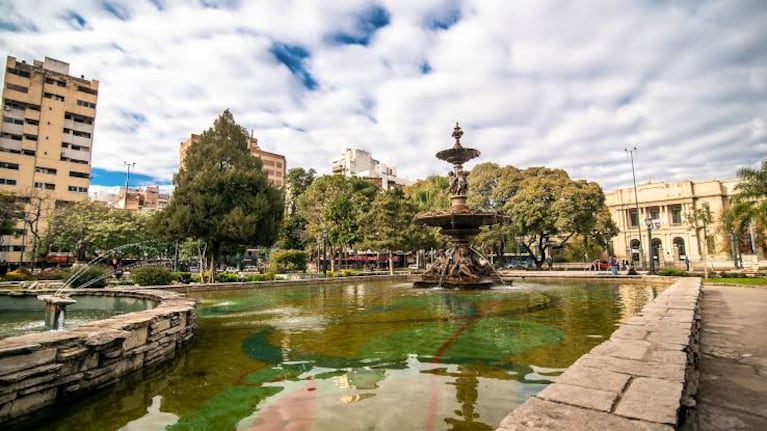 Rescataron un jote en la plaza Colón.