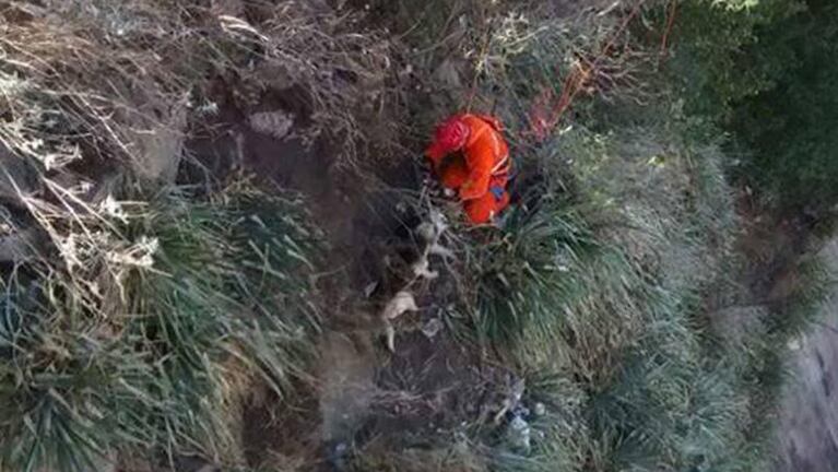 Rescate emotivo: Bomberos salvaron a dos perros en Embalse