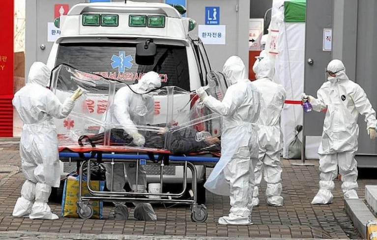  Revelan un informe de la OMS acerca del posible origen de la pandemia