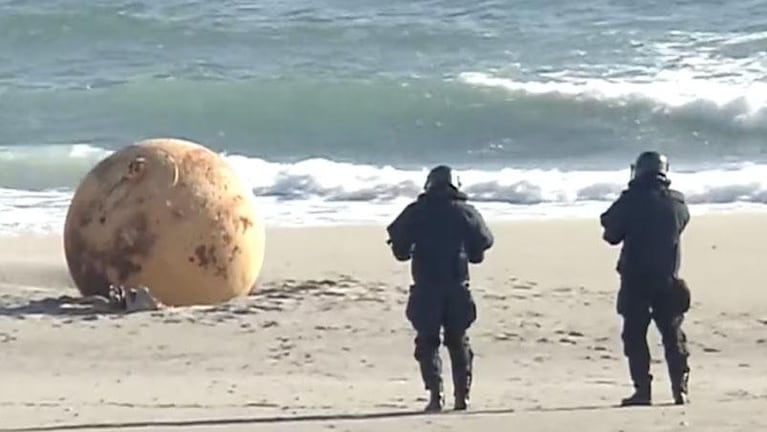 Revelaron qué era la bola gigante que apareció en la costa de Japón