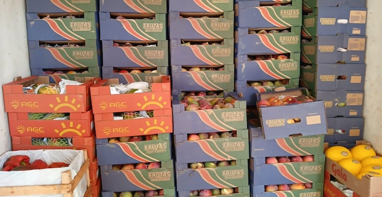 Revisaron un camión en la ruta y hallaron más de 20 toneladas de frutas y verduras con riesgo sanitario