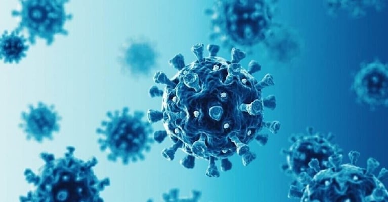 Revolución por un “remedio natural” que frena la gripe: el sudor y la saliva son las claves