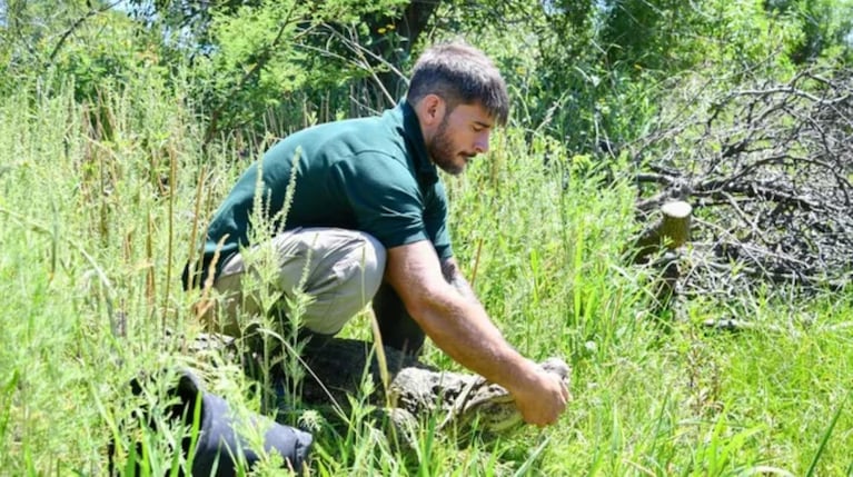 Ricardito tuvo que adaptarse antes de volver a la naturaleza.