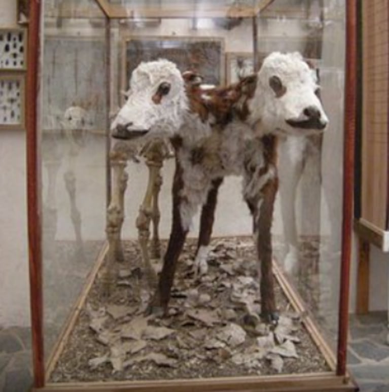 Ríos crecidos y cambio de planes: 4 imperdibles en Córdoba para el fin de semana