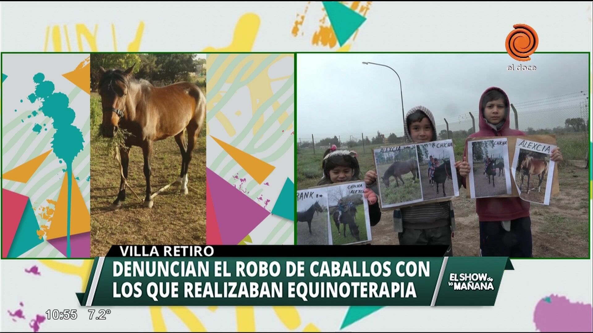 Roban caballos de equinoterapia