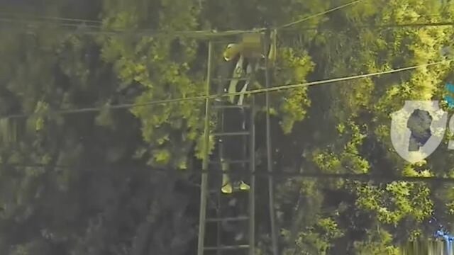 Robo de cables en Córdoba.