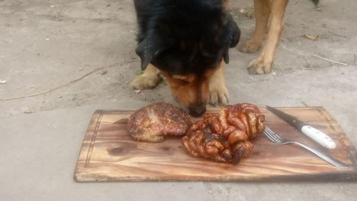 Rocko celebró con un rico asado.