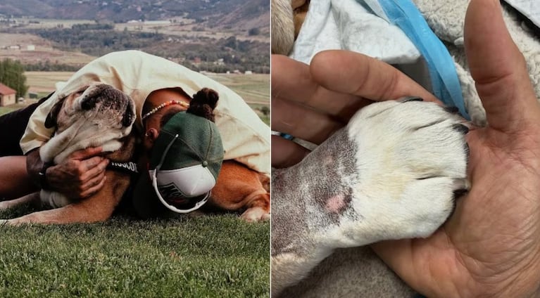 Roscoe acompañó a Hamilton durante 12 años.
