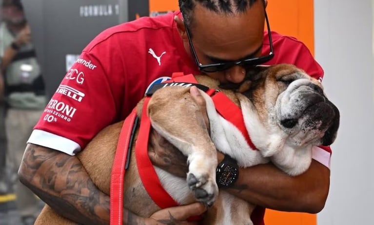 Roscoe acompañó a Hamilton durante 12 años.