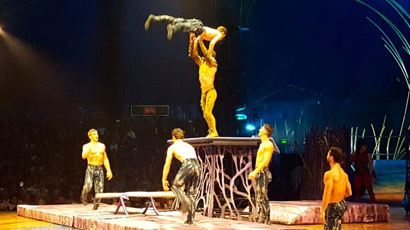 Roxana Martínez estuvo en la carpa Paulista y te muestra cómo se prepara el show que es un éxito en Brasil.