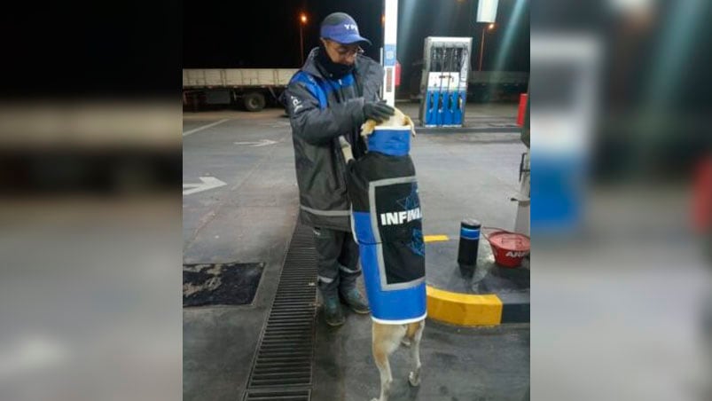 Rubia y uno de sus nuevos compañeros en una estación de San Carlos.