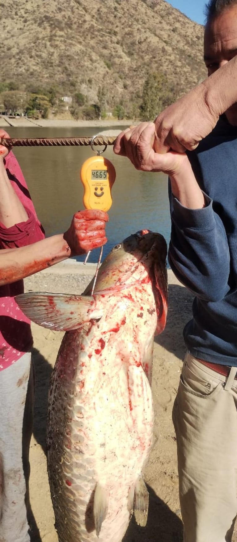 Sacó una carpa gigante del San Roque y rompió un récord: las fotos