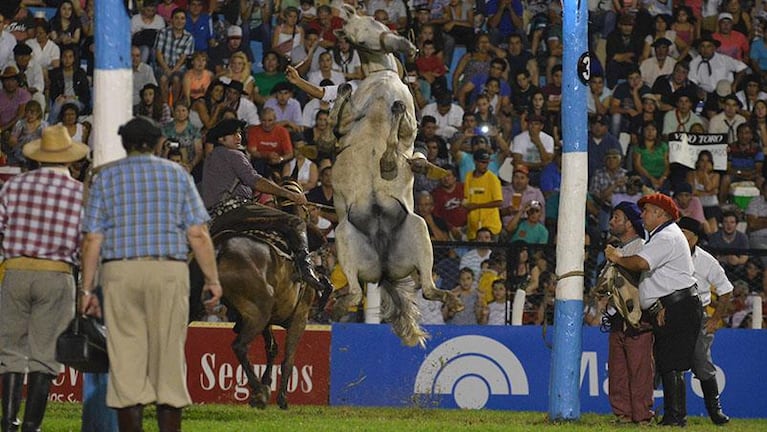 Sacrificaron a un caballo en la segunda noche del festival