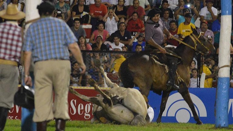 Sacrificaron a un caballo en la segunda noche del festival