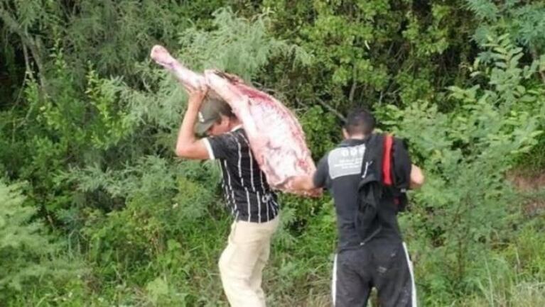 Salta: un camión frigorífico volcó y se robaron 11 mil kilos de carne