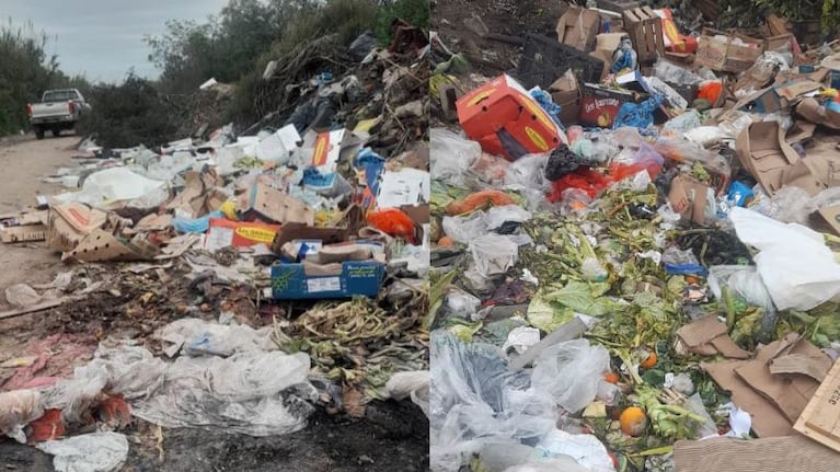 Sancionarán a una verdulería por arrojar indebidamente residuos a un basural.