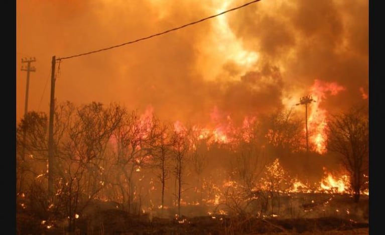Schiaretti anunció medidas de asistencia a los afectados por los incendios