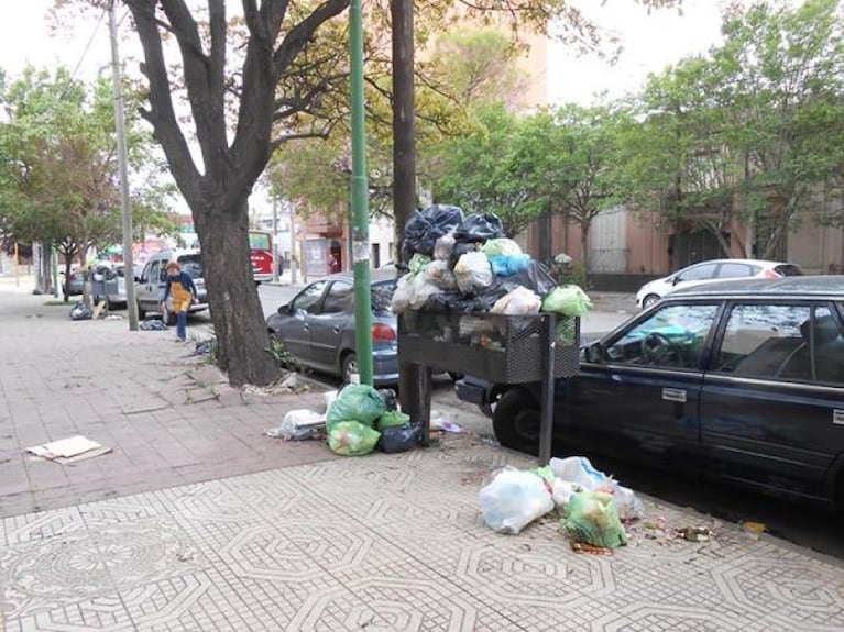Se acumula la basura: qué dicen la Municipalidad y los recolectores