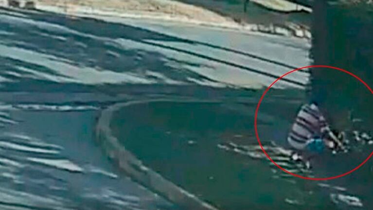 Se agachó y se llevó uno de los perros.