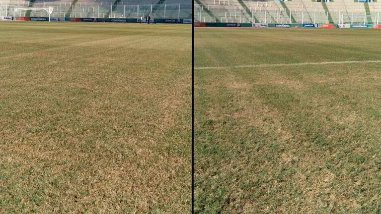 Se decoloró el césped del estadio Kempes