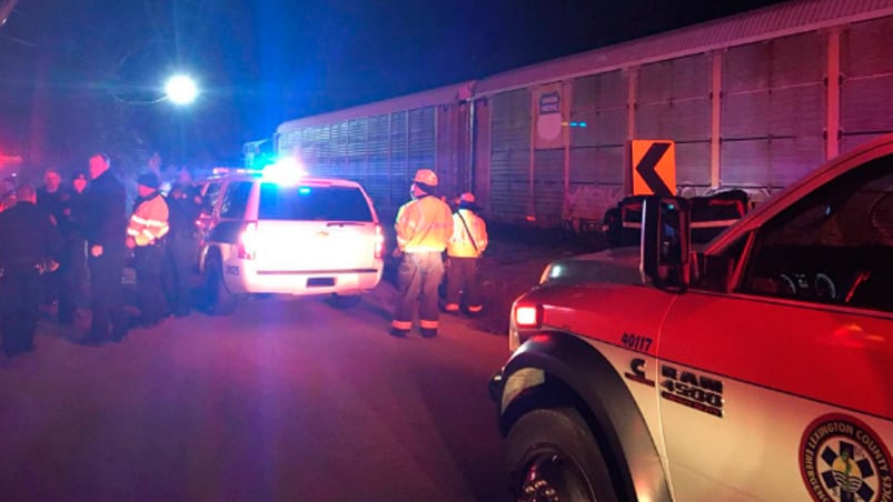 Se desconoce cómo chocaron los trenes.