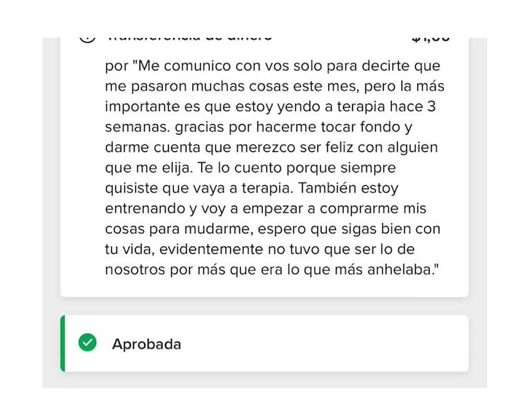 Se despidió de su ex por Mercado Pago  (Foto: X / @porqueTTarg)