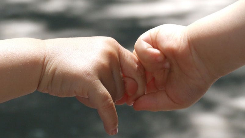 Se despidió tomando la mano de su compañera de vida.