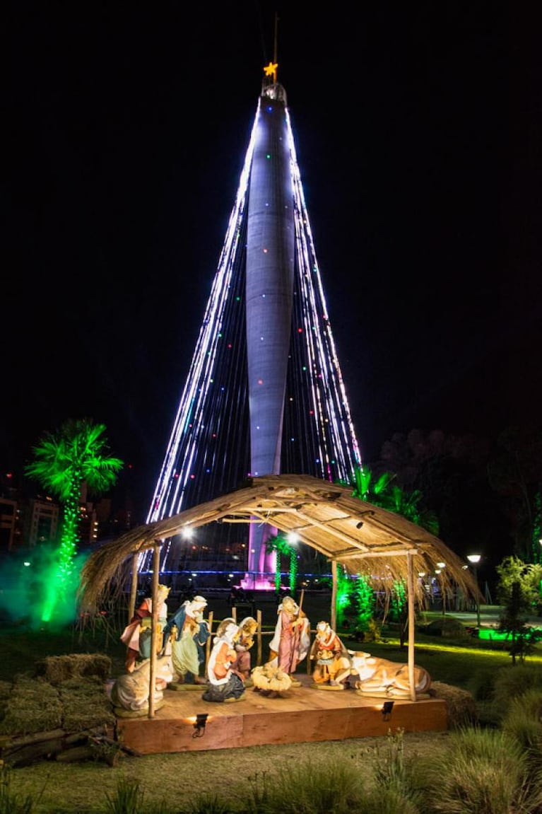 Se enciende el árbol de Navidad de Córdoba