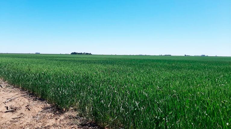 Se espera que los próximos tres meses tengan lluvias por debajo del promedio.