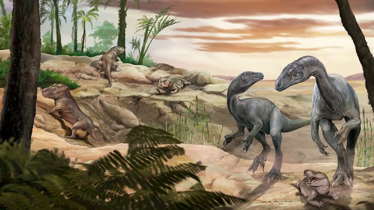 Se estima que así sería la especie encontrada.