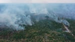 Se estima que el fuego ya consumió un millón de hectáreas en "el pulmón del mundo".