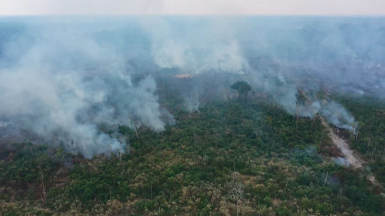 Se estima que el fuego ya consumió un millón de hectáreas en "el pulmón del mundo".