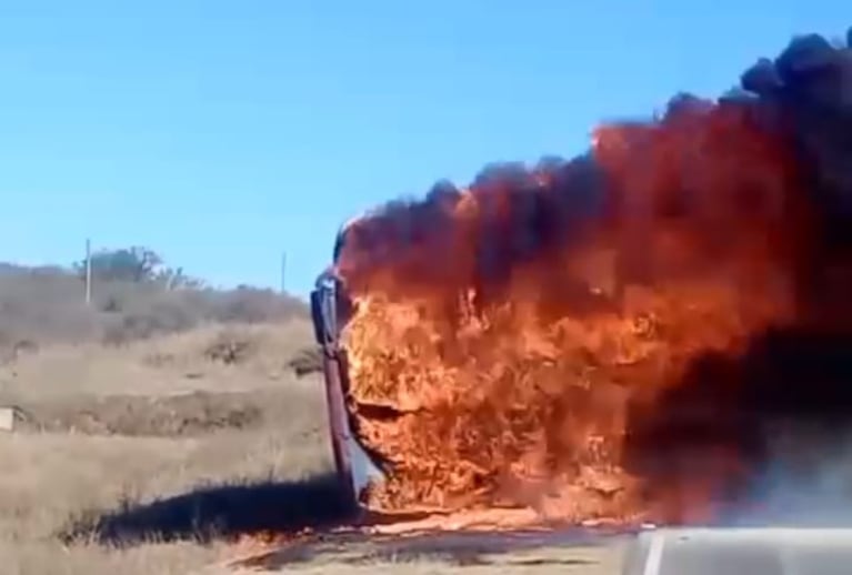 Se incendió hasta carbonizarse un colectivo en plena ruta.