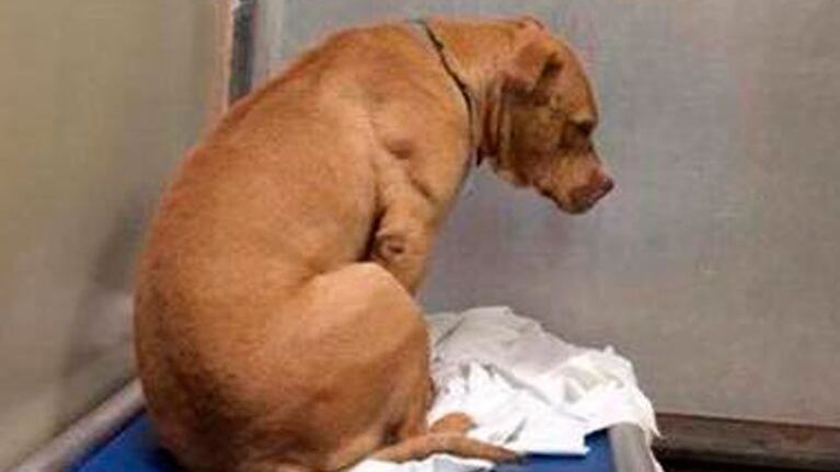 Se llama March y su foto se convirtió en viral en las redes sociales.
