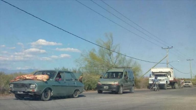 Se llevaron medias reses de un camión volcado