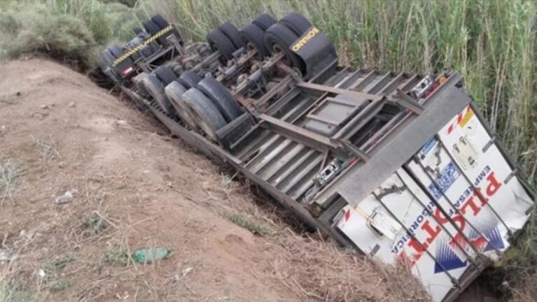 Se llevaron medias reses de un camión volcado