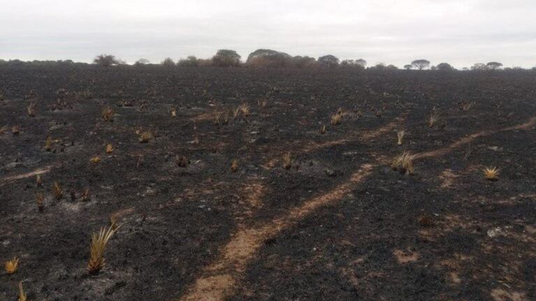 Se perdieron más de 74 hectáreas de la reserva.
