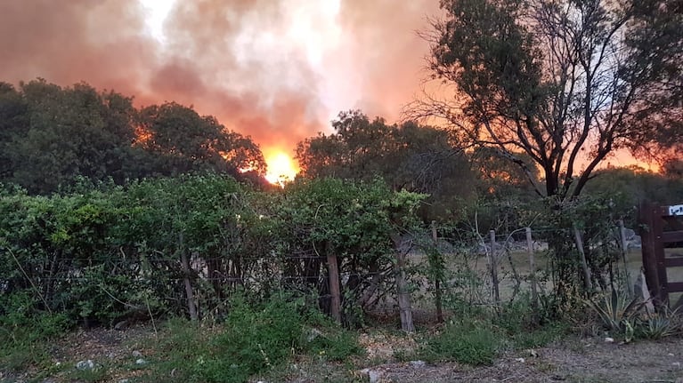 Se quemaron cientos de hectáreas de bosque nativo en el Valle de Traslasierra.