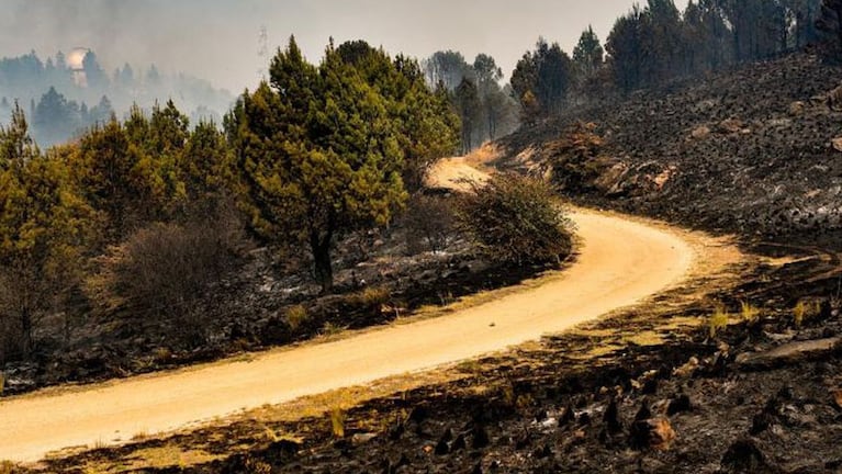 Se quemaron más de 300 mil hectáreas en esa zona de las sierras en 2020.