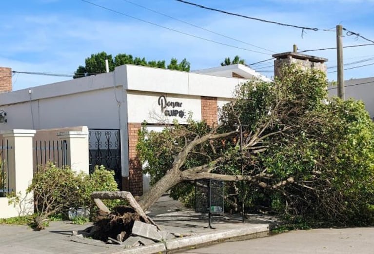 Se registraron serios destrozos materiales en Etruria por la tormenta.