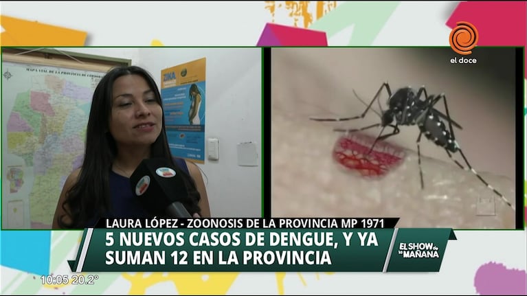 Se reportan 5 nuevos casos de dengue