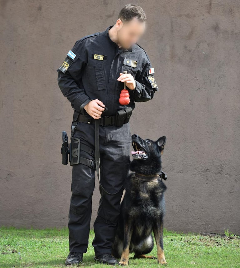 Se retira Buster, el perro antinarcóticos de 100% de efectividad.