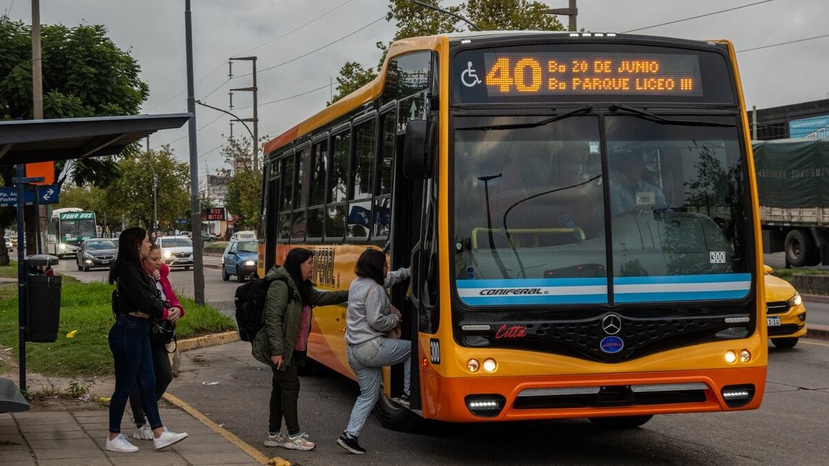 Se sumarán 13 unidades a la línea 43 de la ciudad.