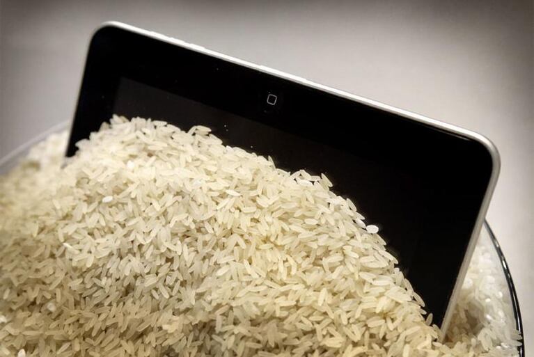 ¿Se te mojó el celular? Enterate cómo podés salvarlo