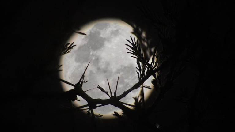 Se viene la segunda luna llena de 2024.