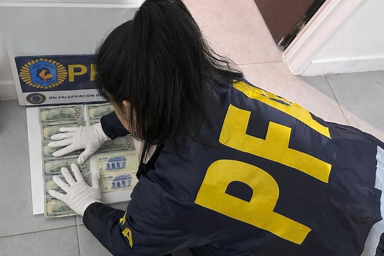 Secuestraron billetes falsos.